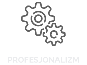 profesjonalizm